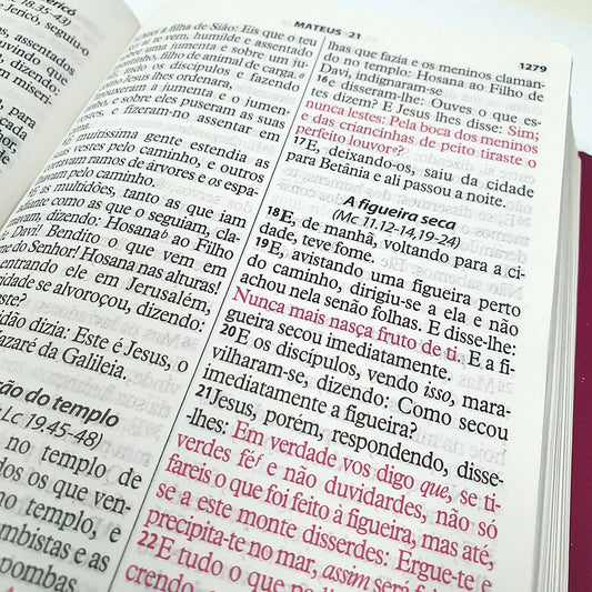 Bíblia da Mulher Vitoriosa | Letra Gigante | ARC | Lilas e Rosa