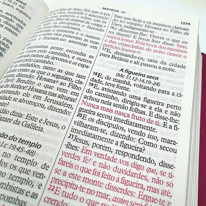 Bíblia da Mulher Vitoriosa | Letra Gigante | ARC | Branca