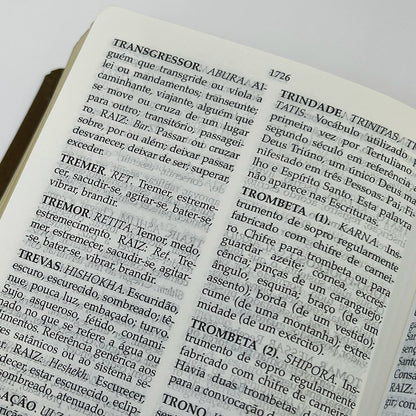Bíblia Peshitta com Referências | Letra Grande | Capa Luxo Marrom