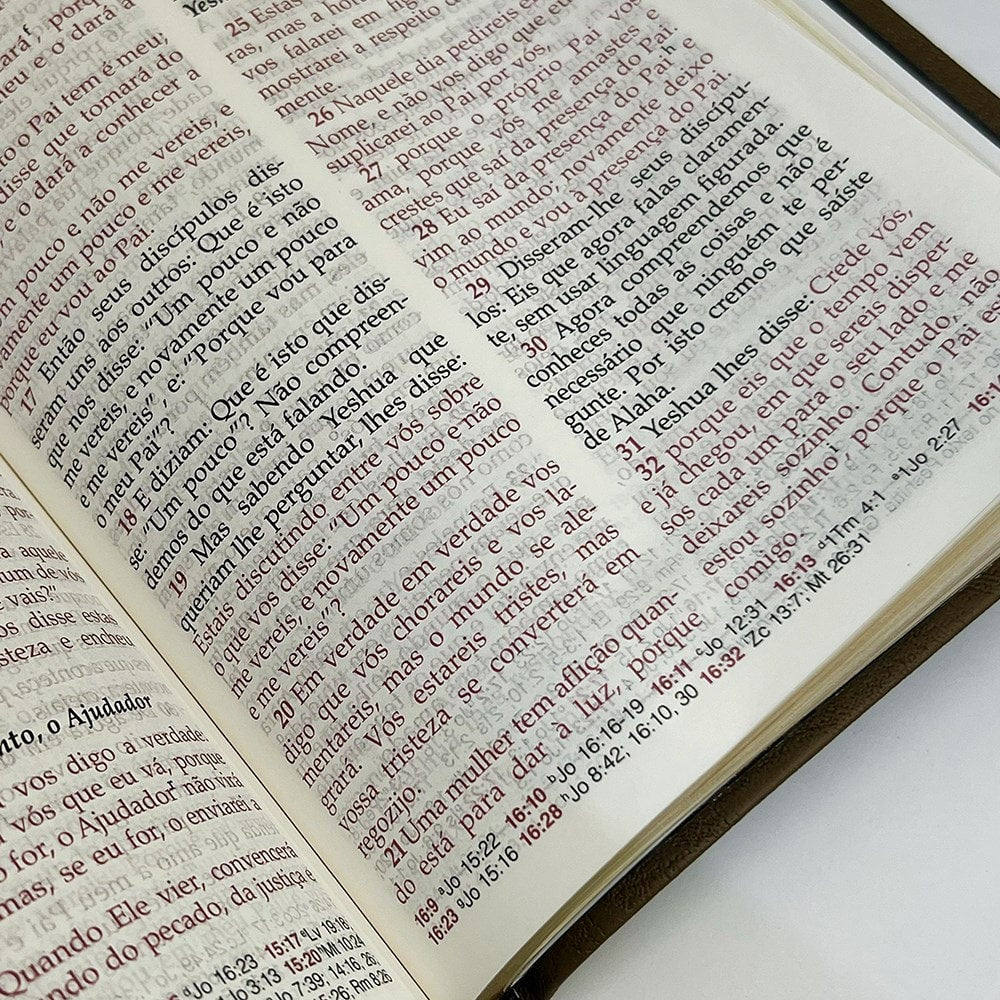 Bíblia Peshitta com Referências | Letra Grande | Capa Luxo Marrom
