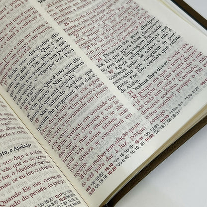 Bíblia Peshitta com Referências | Letra Grande | Capa Luxo Marrom