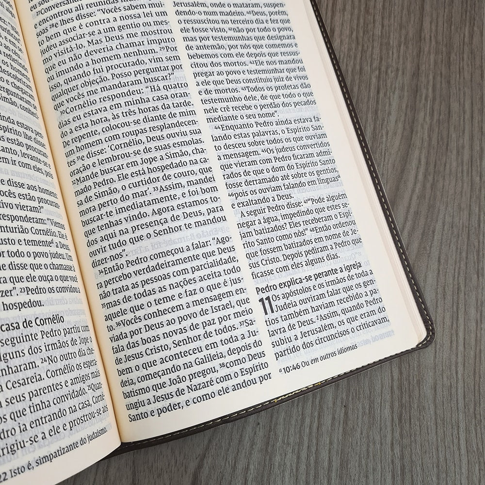 Bíblia Leitura Perfeita NVI | Letra Gigante | Marrom