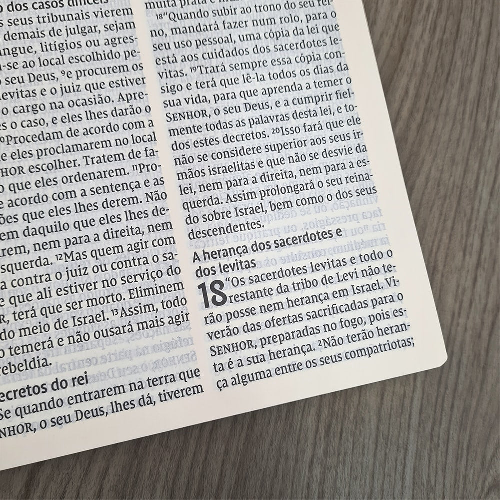 Bíblia Leitura Perfeita NVI | Letra Gigante | Marrom