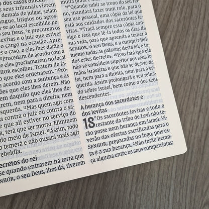 Bíblia Leitura Perfeita NVI | Letra Gigante | Marrom