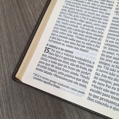 Bíblia Leitura Perfeita NVI | Letra Gigante | Marrom