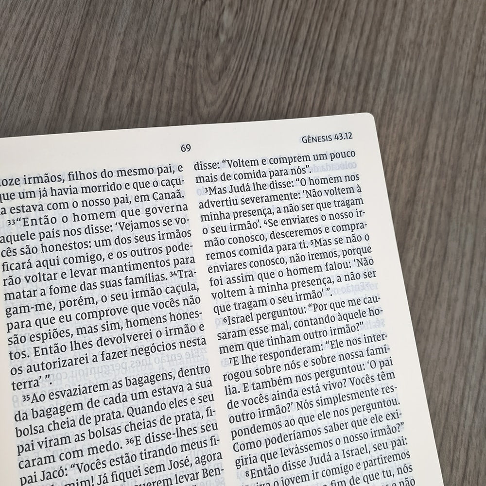 Bíblia Leitura Perfeita NVI | Letra Gigante | Marrom