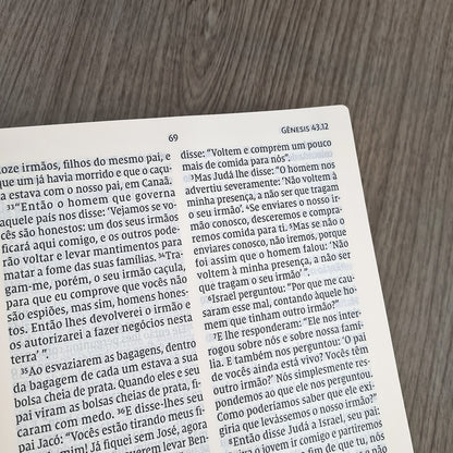 Bíblia Leitura Perfeita NVI | Letra Gigante | Marrom