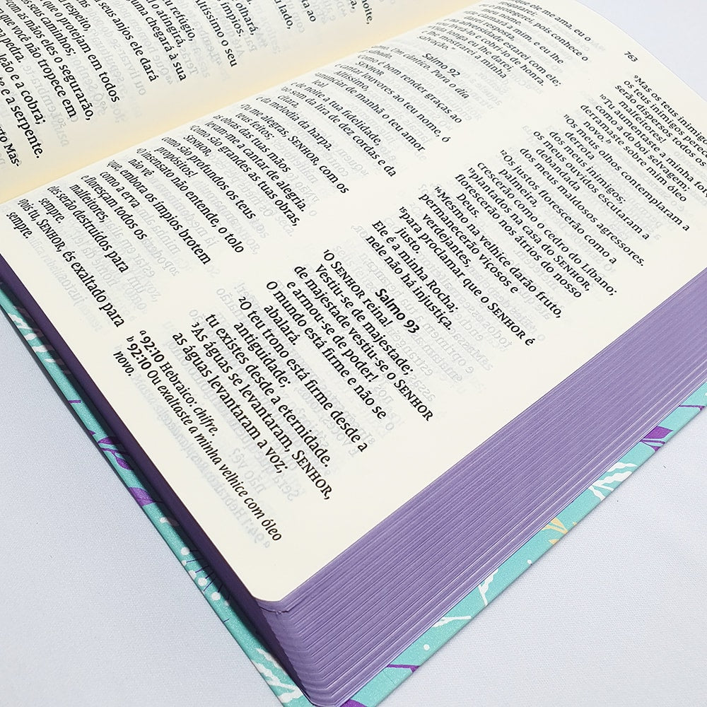 Bíblia Leitura Perfeita NVI | Letra Gigante | Raminhos