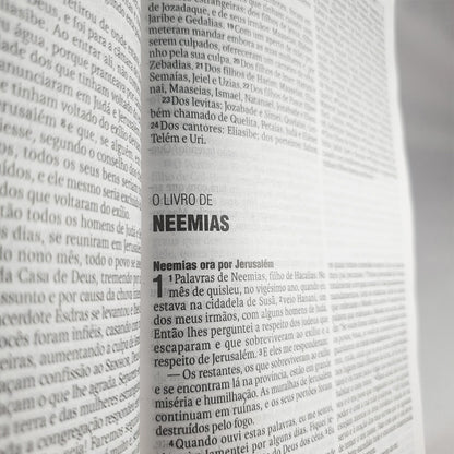 Bíblia Leão Cinza | NAA Letra Normal | Capa Dura