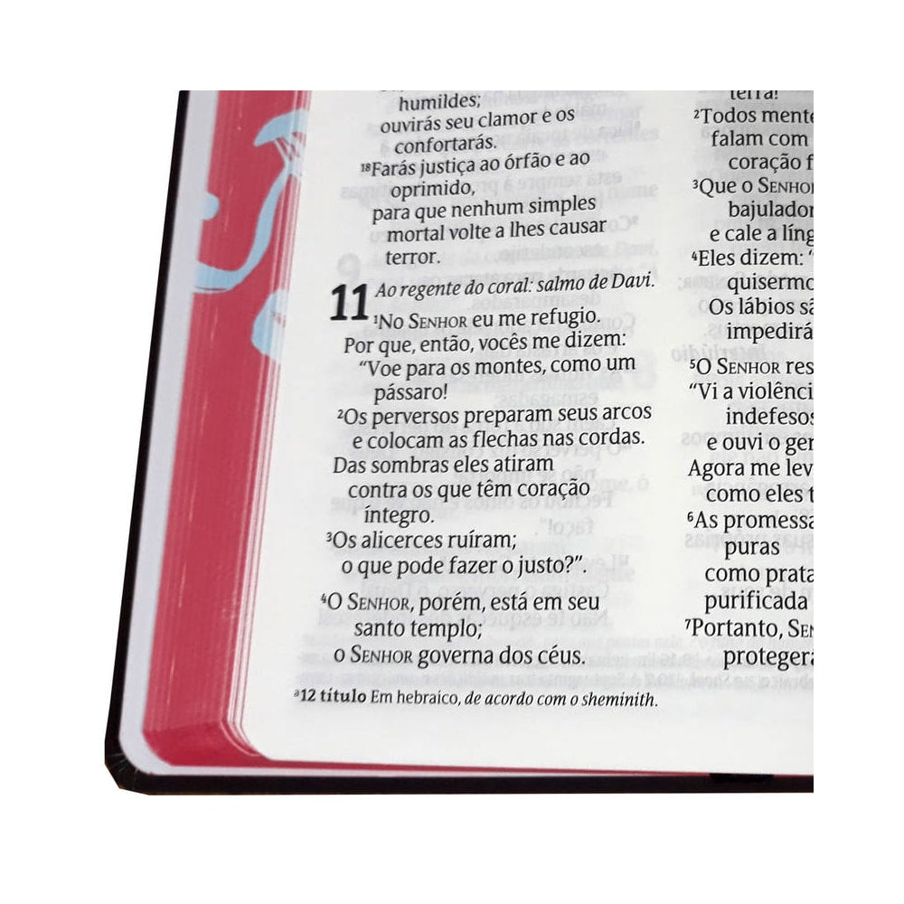 Bíblia ASU | NVT Letra Grande | Capa Soft Touch