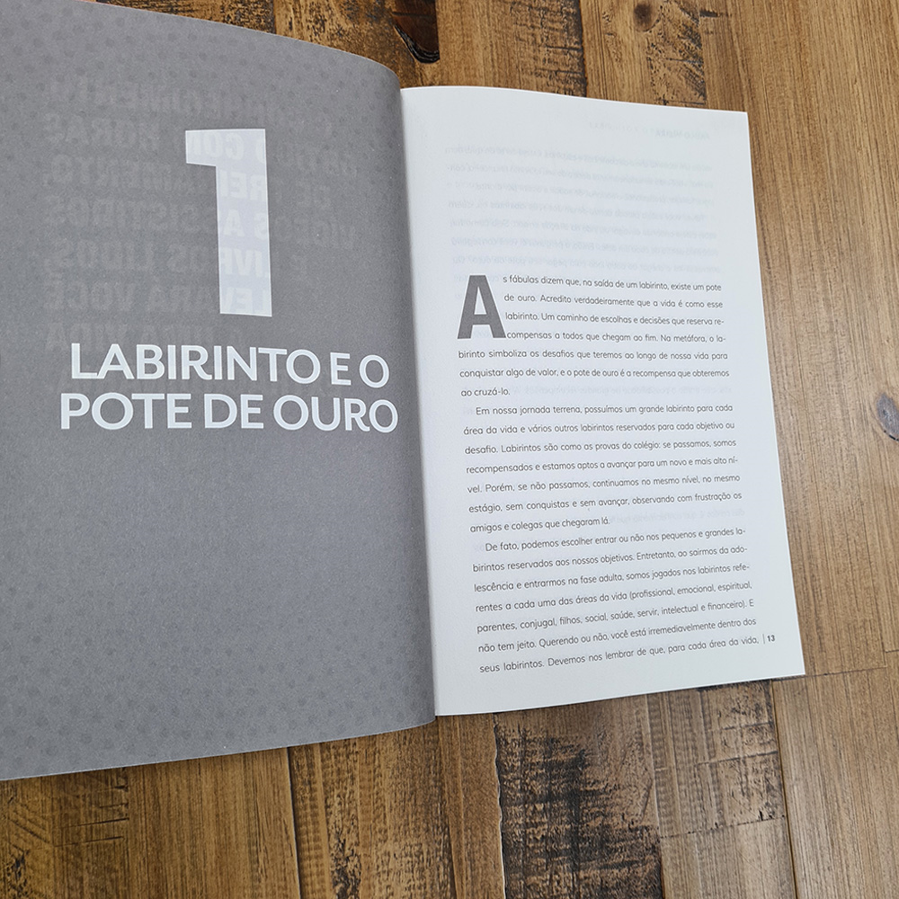 12 Princípios Para uma Vida Extraordinária | Paulo Vieira