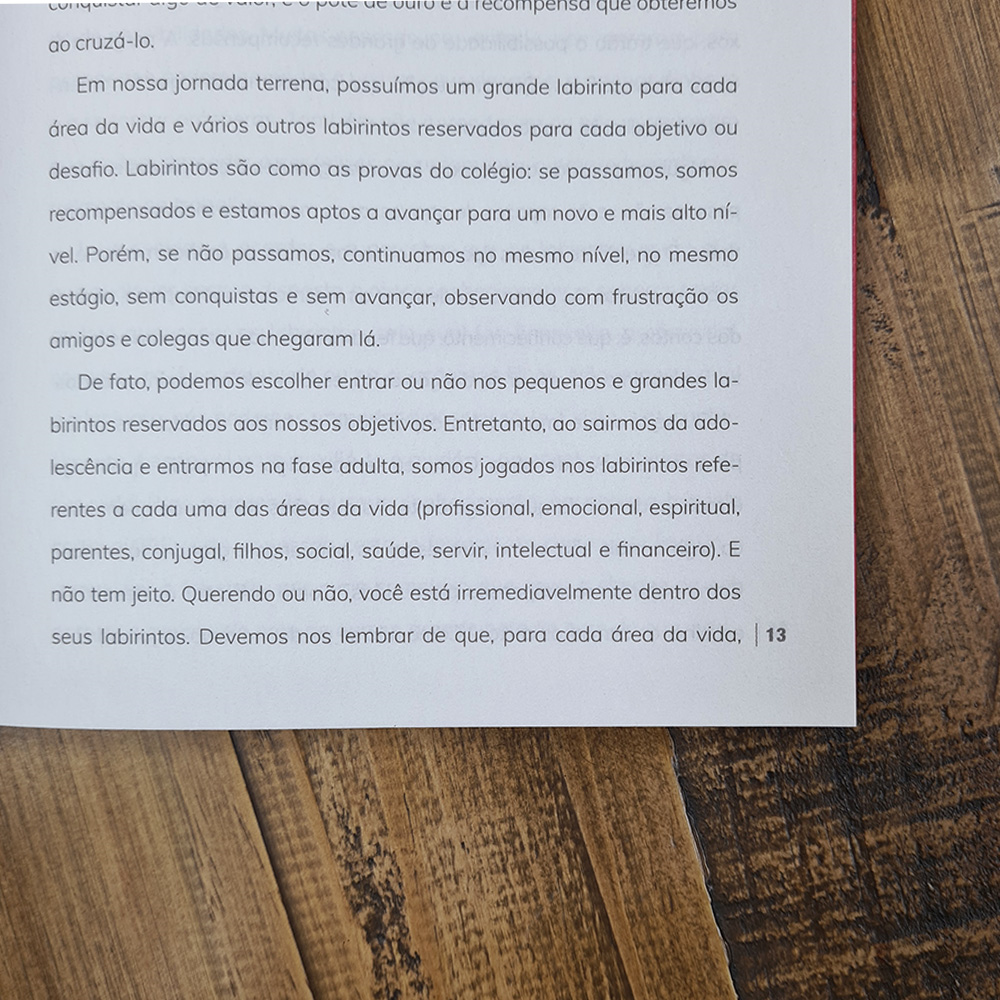 12 Princípios Para uma Vida Extraordinária | Paulo Vieira
