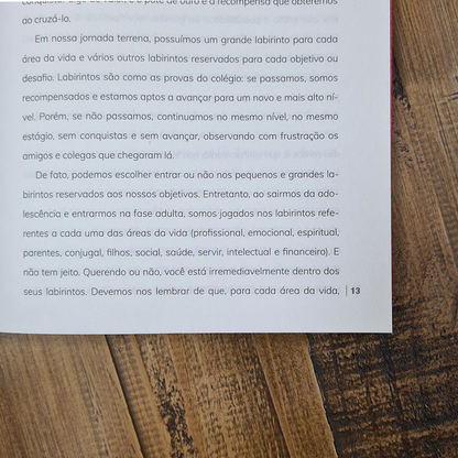 12 Princípios Para uma Vida Extraordinária | Paulo Vieira