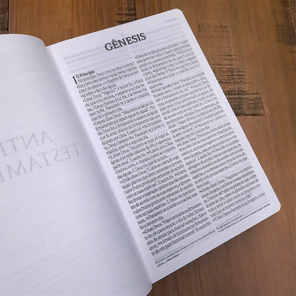 Bíblia Sagrada Fala Comigo Jesus | NVI | Letra Gigante | Nova Ortografia Capa Dura