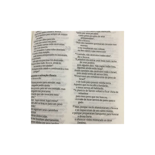 Bíblia No Princípio | NVT Letra Normal | Capa Dura