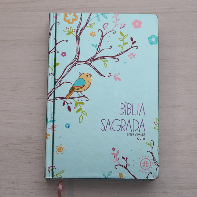 Bíblia Um Tempo Especial com Deus | NVI | Letra Grande | Capa Dura Pássaros