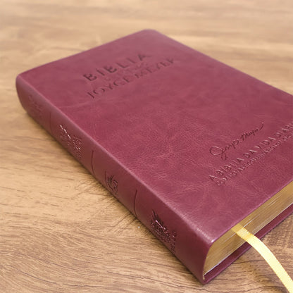 Bíblia De Estudo Joyce Meyer | NVI | Letra Média | Capa Marsala
