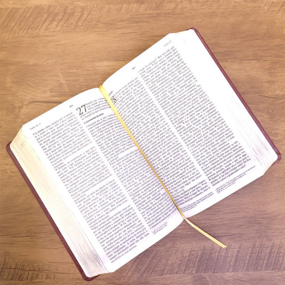 Bíblia De Estudo Joyce Meyer | NVI | Letra Média | Capa Marsala