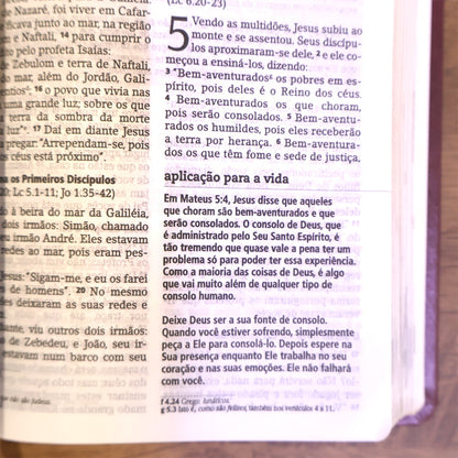 Bíblia De Estudo Joyce Meyer | NVI | Letra Média | Capa Marsala