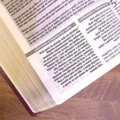 Bíblia De Estudo Joyce Meyer | NVI | Letra Média | Capa Marsala