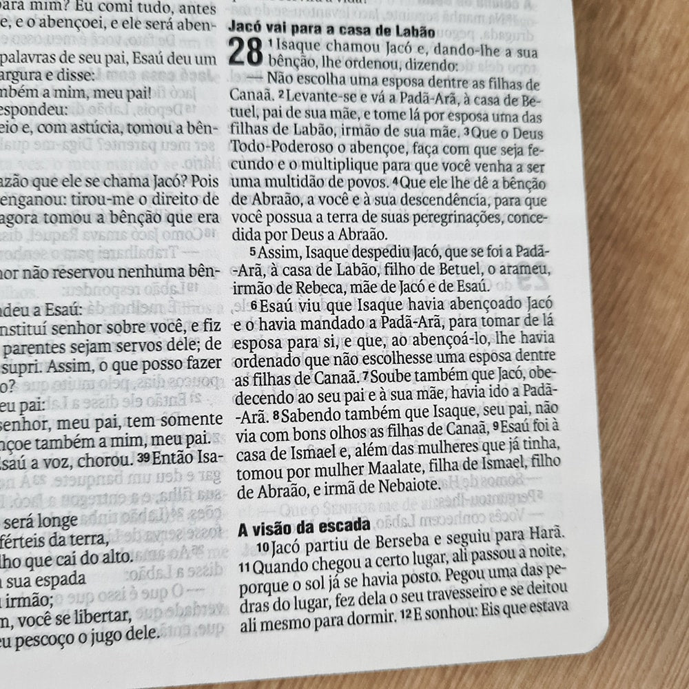 Bíblia Leão Preto e Branco | NAA | Letra Normal | Capa Dura Ilustrada