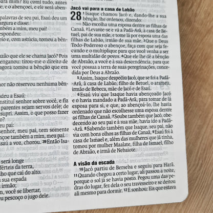 Bíblia Leão Preto e Branco | NAA | Letra Normal | Capa Dura Ilustrada