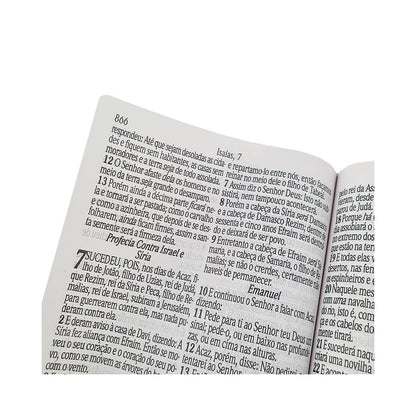 Bíblia Sagrada Letra Jumbo | ARC | Harpa Avivada e Corinhos | Capa PU Luxo Ramos Rosa