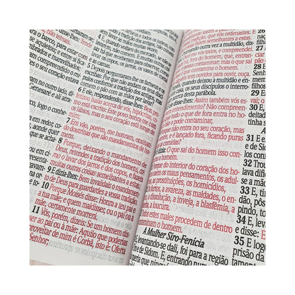 Bíblia Sagrada Letra Jumbo | ARC | Harpa Avivada e Corinhos | Capa PU Luxo Ramos Rosa