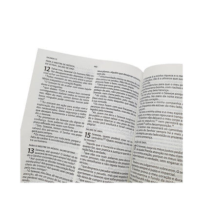 Nova Bíblia Viva Leão de Judá | NBV | Letra Normal | Capa Brochura