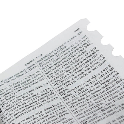 Bíblia Sagrada Raminhos | ARC | Letra Grande | Capa Pink C/ Zíper e Índice