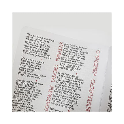 Harpa Avivada e Corinhos Médio | Letra Gigante | Floral Rosa Capa Dura