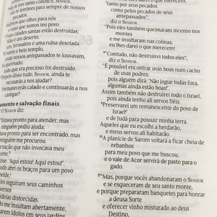 Bíblia Coração Puro | NVT | Letra Normal | Capa Dura