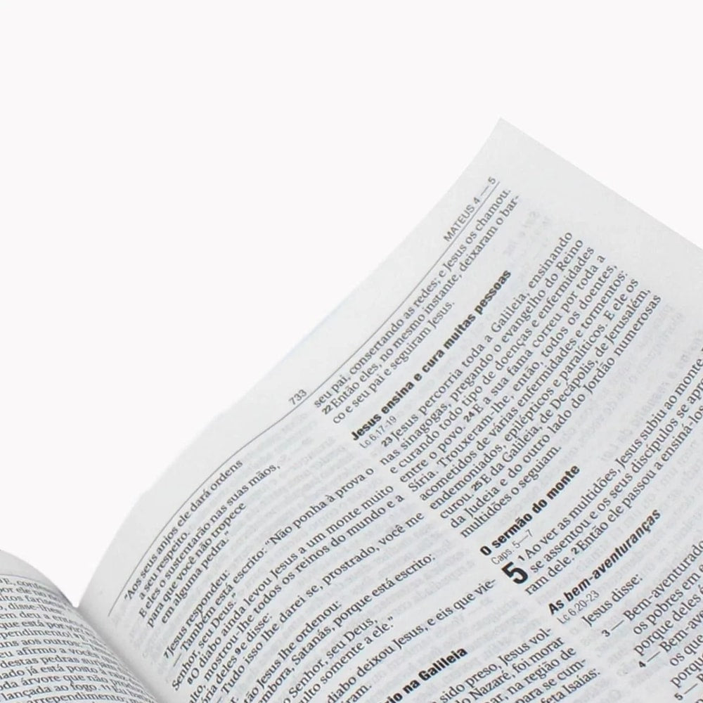 Bíblia Leão Estrela da Manhã | NAA | Letra Normal | Capa Dura