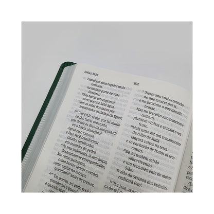 Bíblia Sagrada Folhagem | NVI | Letra Grande | Capa Verde e Rosa
