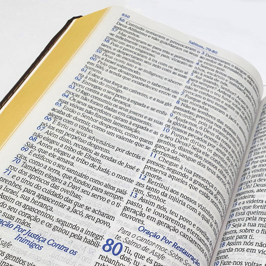 A Bíblia de Estudo do Homem Sábio | ARC | Letra Grande | Harpa Avivada e Corinhos | Capa Marrom