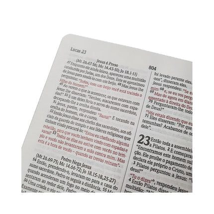 Biblia Sagrada Leão de Juda | NVI | Letra Normal | Capa Dura Soft-Touch