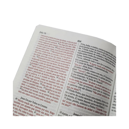 Biblia Sagrada Leão de Juda | NVI | Letra Normal | Capa Dura Soft-Touch