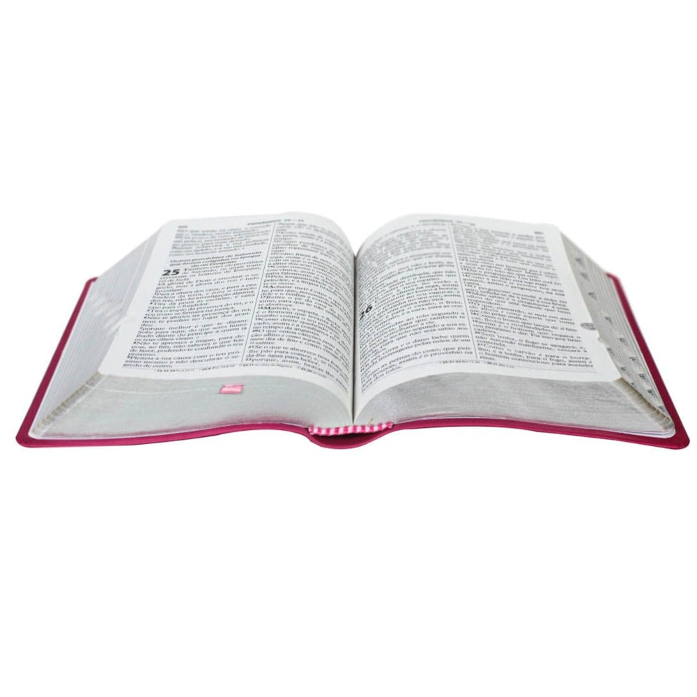 Bíblia Sagrada Raminhos | ARC | Letra Grande | Capa Pink C/ Índice