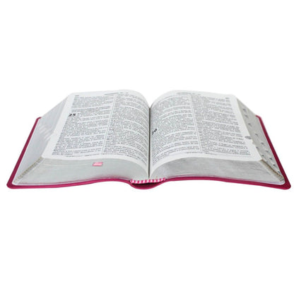 Bíblia Sagrada Raminhos | ARC | Letra Grande | Capa Pink C/ Índice