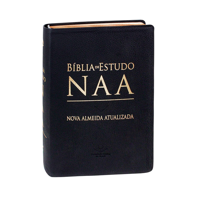 Bíblia de Estudo | NAA | Letra Normal | Capa Couro Legítimo