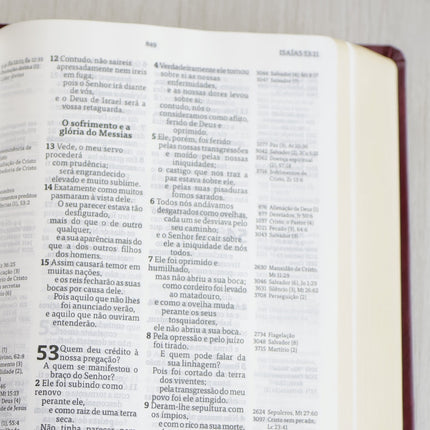 Bíblia Thompson de Estudo | AEC | Letra Grande | Capa Luxo Vinho