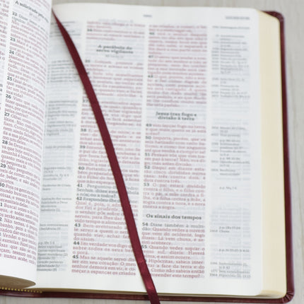 Bíblia Thompson de Estudo | AEC | Letra Grande | Capa Luxo Vinho