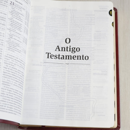 Bíblia Thompson de Estudo | AEC | Letra Grande C/ Índice | Capa Luxo Vinho