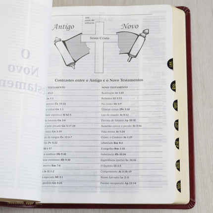 Bíblia Thompson de Estudo | AEC | Letra Grande C/ Índice | Capa Luxo Vinho