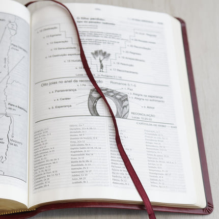 Bíblia Thompson de Estudo | AEC | Letra Grande C/ Índice | Capa Luxo Vinho