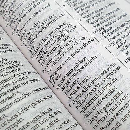 Bíblia Sagrada | NVI | Letra Hipergigante | Capa Luxo Lilás
