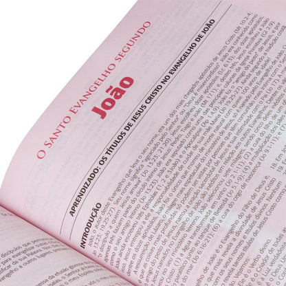 Bíblia do Pregador Pentecostal | ARC | Letra Normal | Capa Luxo Preta