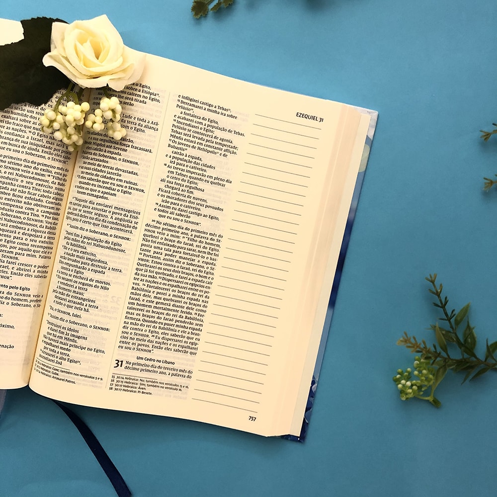 Sua Bíblia Meu Desejo | NVI | Espaço Anotações | Capa Dura