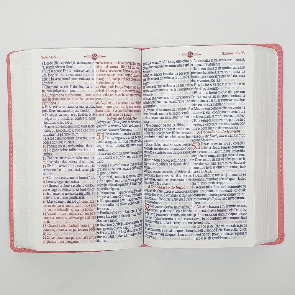 Bíblia Mover de Deus | ARC | Letra Grande | Harpa Avivada e Corinhos | Capa PU Pink