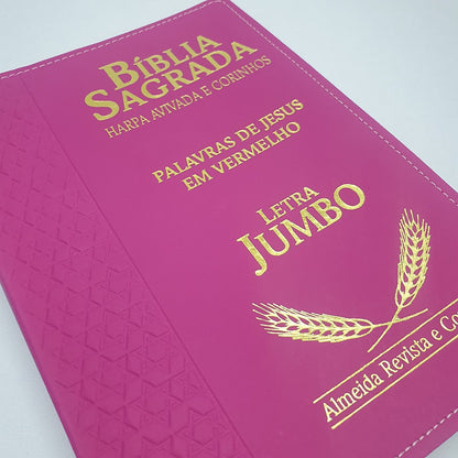 Bíblia Sagrada Harpa Avivada e Corinhos | ARC | Letra Jumbo | Índice | Luxo Pink
